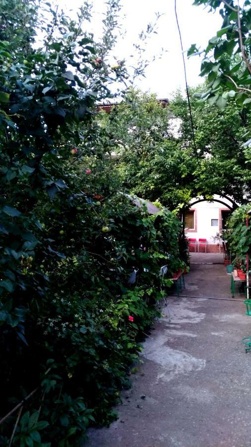 Villa Casa Din Gradina Eforie Sud  Exterior foto