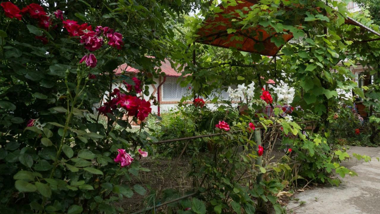 Villa Casa Din Gradina Eforie Sud  Exterior foto